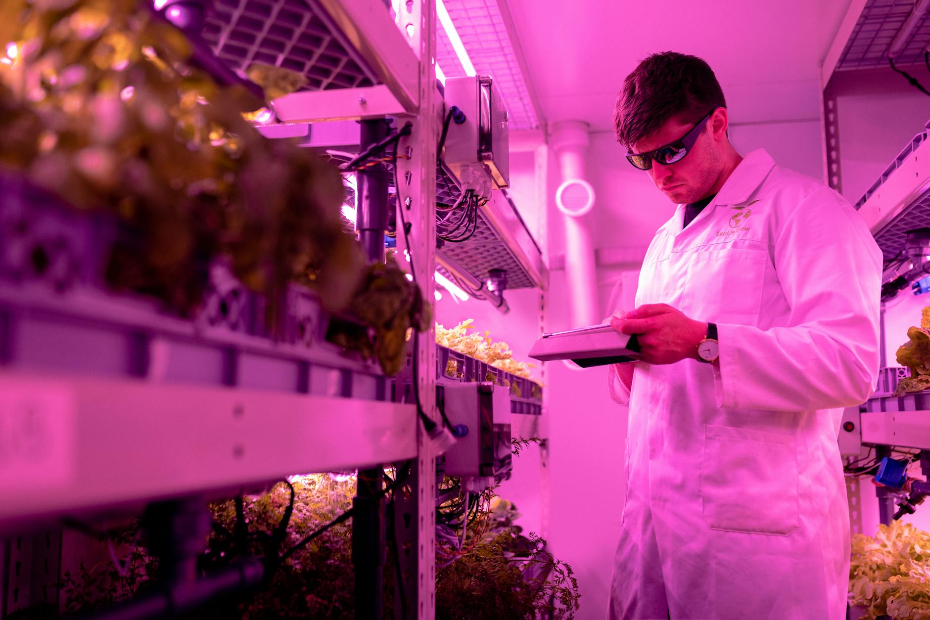 Imagem de capa — Green Tech: Computação Sustentável e Redução de Carbono em TI