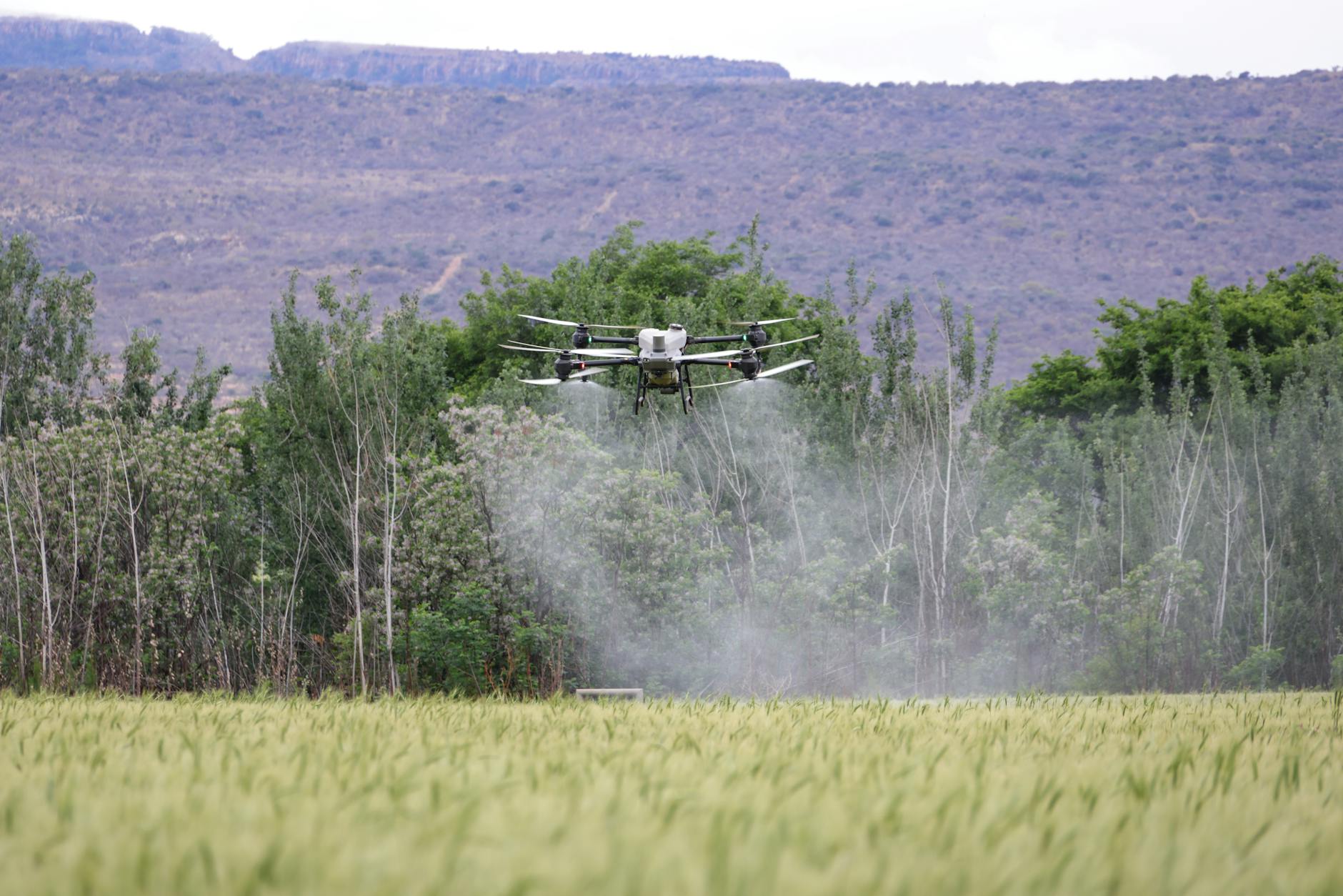 Imagem de encerramento — IA na Agricultura: Precision Farming e Otimização de Colheitas