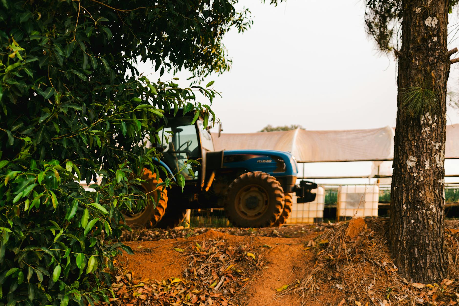 Imagem de encerramento — IA no Agronegócio Brasileiro: Tecnologia no Campo