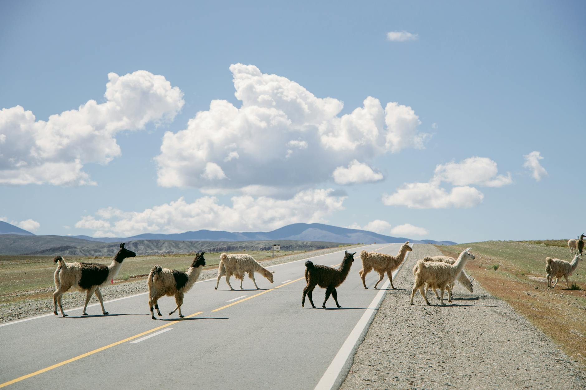 Imagem de capa — Llama 3 e Mistral: Open Source Competindo com GPT