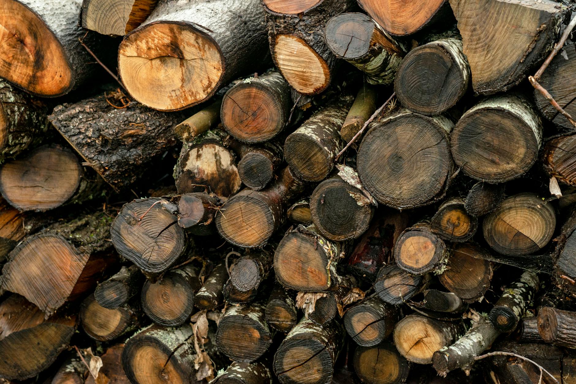Imagem de encerramento — Observabilidade em Microserviços: Logs, Métricas e Traces