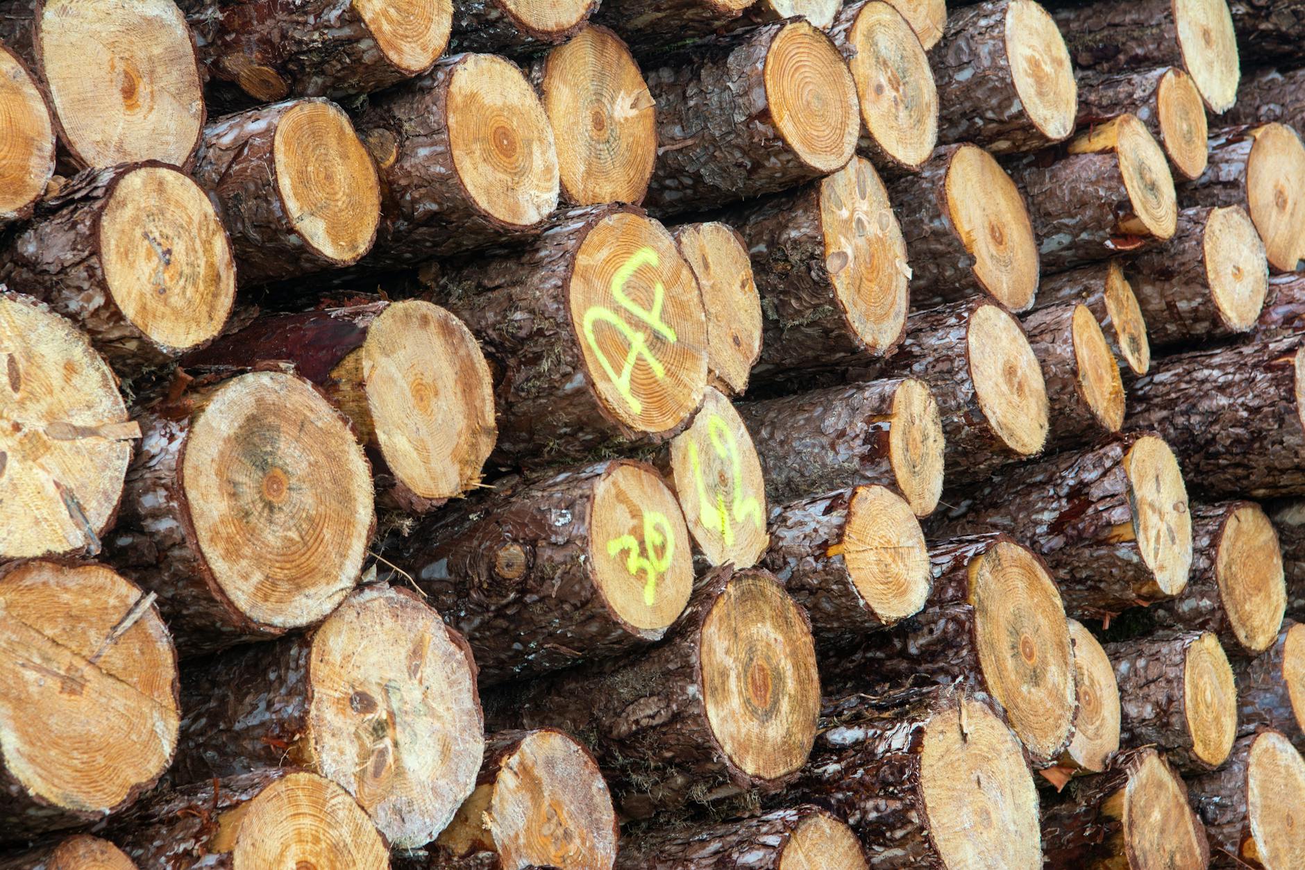 Ilustração técnica — Observabilidade em Microserviços: Logs, Métricas e Traces